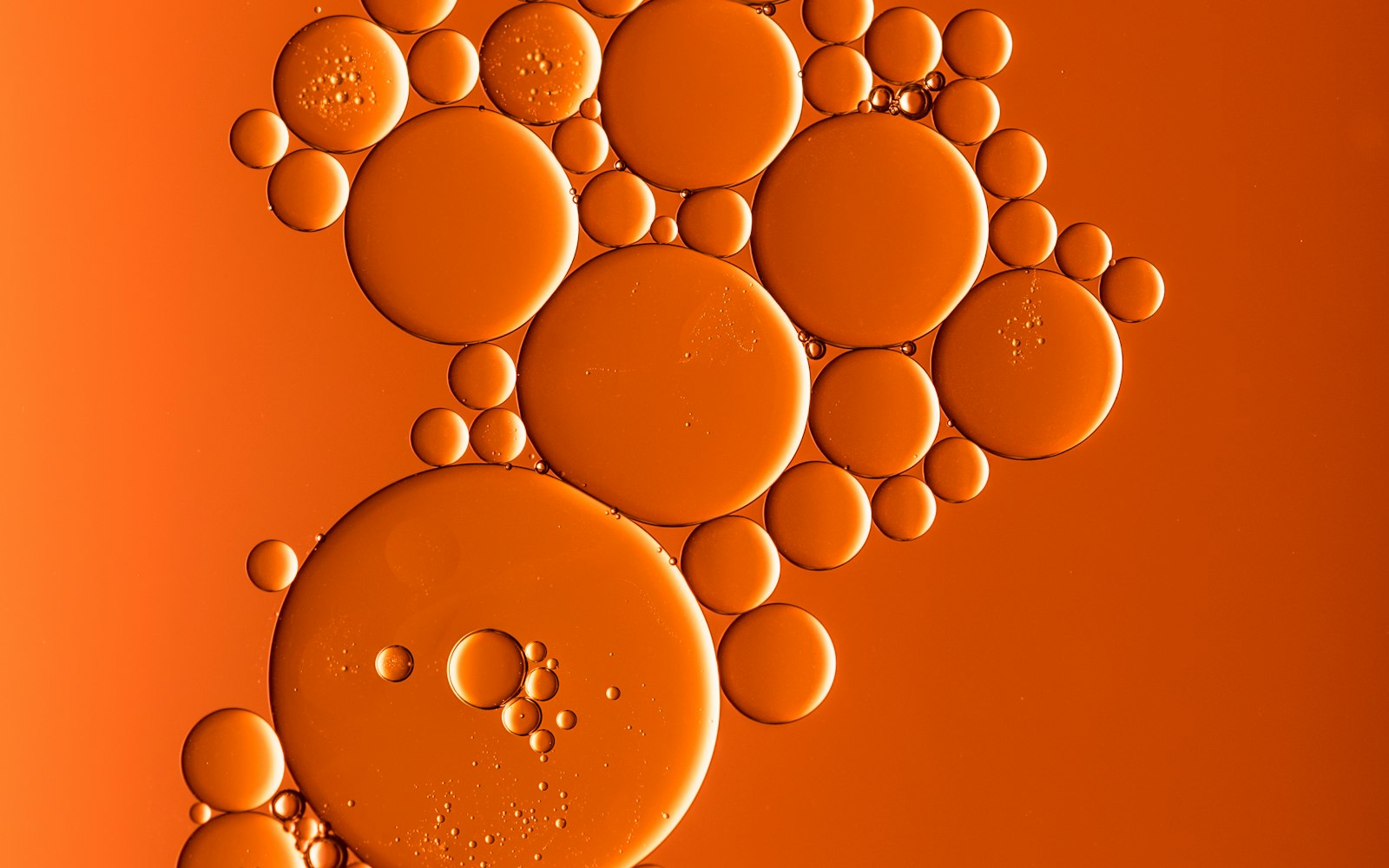 Serum or Moisturiser First? A Simple Order of Operations